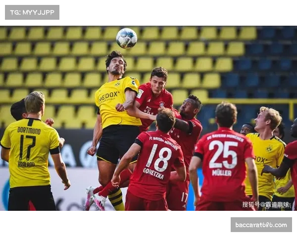 中国德甲球迷关注焦点调查 拜仁慕尼黑与多特蒙德成最热话题 中国德甲球迷关注焦点调查 拜仁慕尼黑与多特蒙德成最热话题